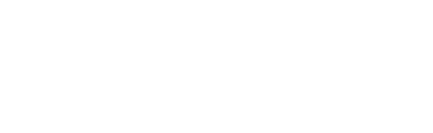 Venika Music and Bar Logo